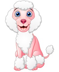 Happy poodle cartoon sitting isolated on white background