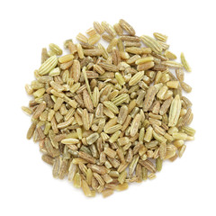 Organic fennel (Foeniculum vulgare) in big cut size. Isolated on white background. Macro close up. Top view.