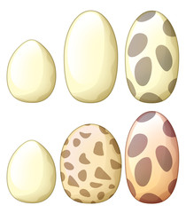 Cartoon dinosaur eggs - isolated - illustration for children