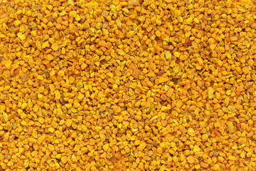 Organic Turmeric or Haldi (Curcuma longa) in tea cut size. Macro close up background texture. Top view.