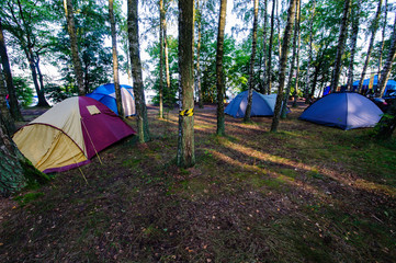 Namioty na polu namiotowym w lesie © Ralfik D