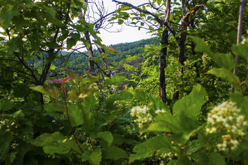 Fototapeta premium Hungarian landscape