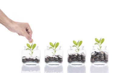  Hand saving money concept,business hand putting money coin stack growing tree on piggy bank, isolated on white background.
