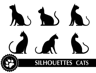 Acrylic prints Cat silhouette of cat