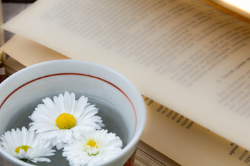 Old hardcover books selective focus. Education concept on wooden background. to learn foreign languages. Back to school background with copy space for text ads and the chamomile preparation for exams.