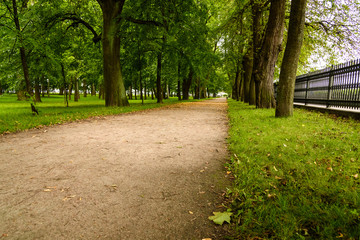 beautiful alley in Park in cloudy summer day