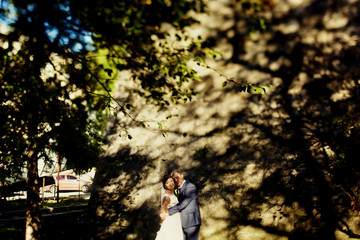 Fototapeta na wymiar Bride and groom stand hugging in trees' shadow