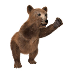 3D Rendering  Brown Bear Cub on White
