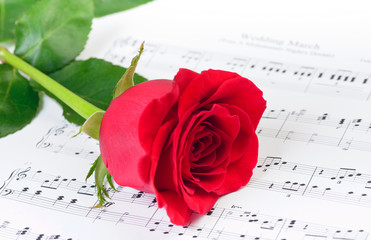 Red rose over Wedding March musical notes 
(written by Felix Mendelssohn 3 February 1809 – 4 November 1847, not copyrighted now) 