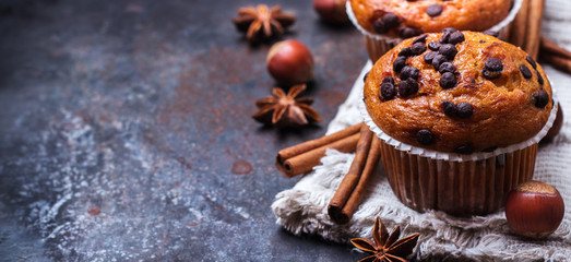 Obraz na płótnie Canvas Homemade chocolate chip muffins for breakfast