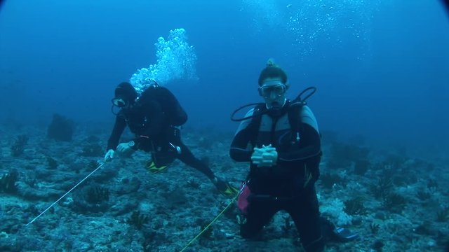 Divers hooked on coral sharks waiting for strong current
