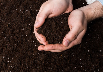 Handful of Rich Brown Soil