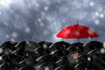 Red umbrella in Storm.