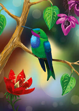 An illustration of a bright colibri (hummingbird) sitting on a branch with flowers in a tropical forest. An exotic small bird.
