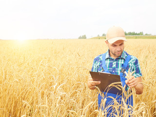 Farmer in a plaid shirt controlled his field and writing notes.