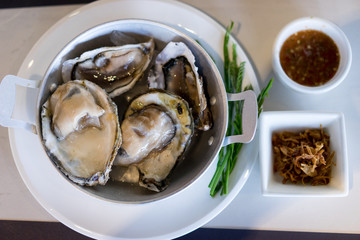 oysters on garnish with sauce
