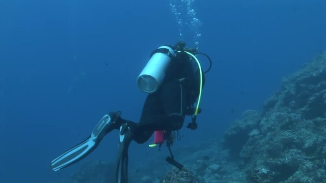 scuba diving maldives diver with camera swims over coral