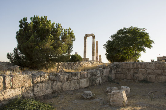 Stone pillars with trees - Amman citadel