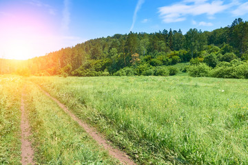Naklejka premium Beautiful landscape of a summer day in the reserve Samarskaya L