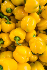 Background of Yellow Pepper. Heap Of Ripe Big Yellow Peppers