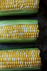 Fresh Corn on the cob, selective focus