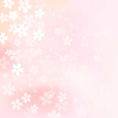 Blurred cherry blossoms background