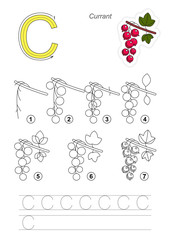 Drawing tutorial. Game for letter C. The Red Currant. © mikhaylova_anna