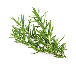Fototapeta premium Rosemary isolated on white background