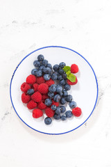 plate with berries on a white background,top view vertical