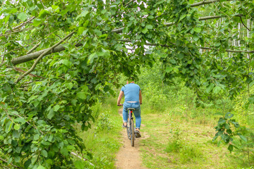 Obraz premium A man rides a Bicycle along a forest path