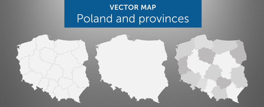 Vector map of country Poland and voivodeships vol.1