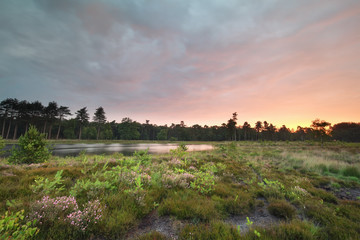 beautiful rainy sunrise on lake