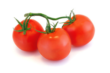 Tomatoes on a branch