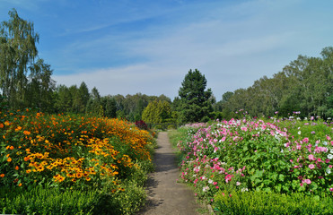 Summer in botanical garden
