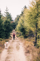 Fototapeta premium Happy woman hiking walking with dog