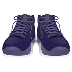 Vector Illustration of a Rubber Shoes