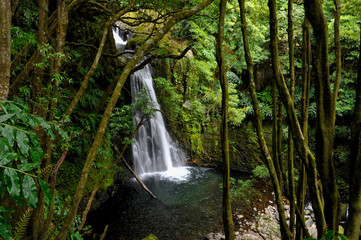 Beautiful  scenery from the Ribeira do Faial da Terra Waterfall