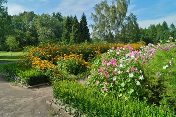 Summer in botanical garden
