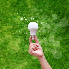 Woman hand holding LED bulb on green backgroud