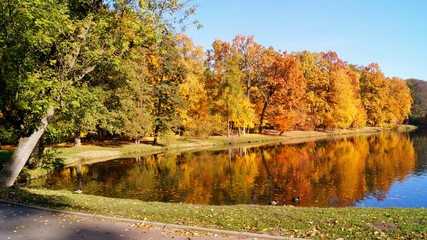 Beautiful autumn landscape. The pond in the autumn in city park
