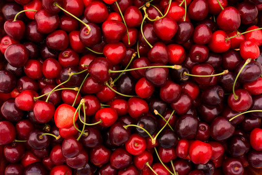 red cherry background.  Red ripe delicious cherries