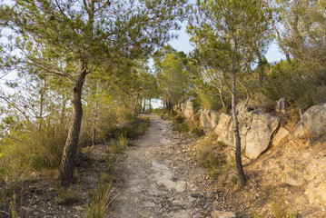 Fototapeta premium Hiking trail.