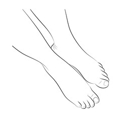 Bare female feet with neutral pedicure. Front view, close up. Foot care concept. Black and white vector illustration, isolated.