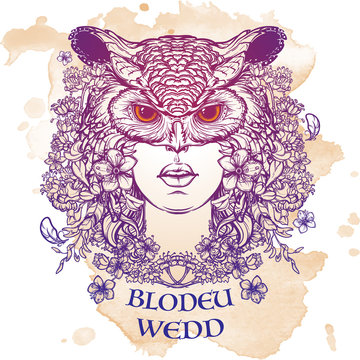 Blodeuwedd sketch isolated on a grunge background