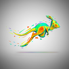 Obraz premium Kangaroo