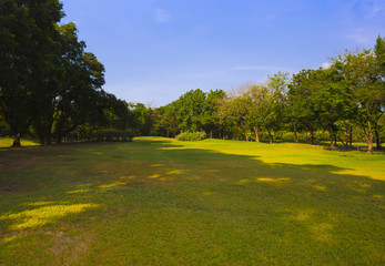 Green public park