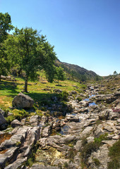 Fototapeta na wymiar National Park of Peneda Geres in Portugal