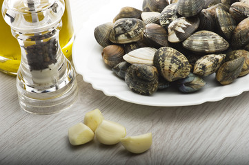 Fresh raw Clam close up on white