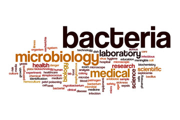 Bacteria word cloud concept