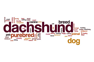 Dachshund word cloud concept